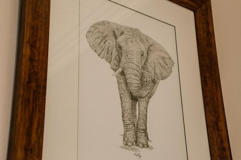 Knysna Elephant Park Lodge Plettenberg Bay Exterior foto